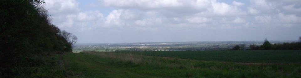 5 mile woodland walk Sept 2013